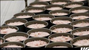 توزیع و پخش تن ماهی به قیمت کارخانه