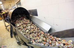 توزیع و پخش تن ماهی به قیمت کارخانه