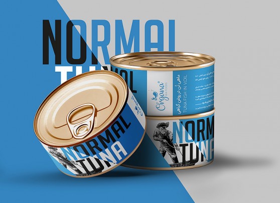 خرید اینترنتی کنسرو تن ماهی؛بهترین تن ماهی