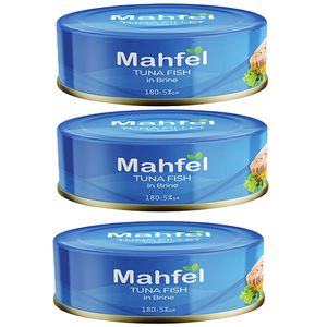 صادرات تن ماهی به کشورهای همسایه؛قیمت روز